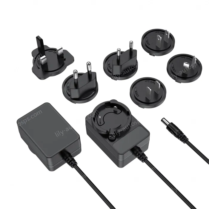 Multi-specification interchangeable pin power adapter 24V2A