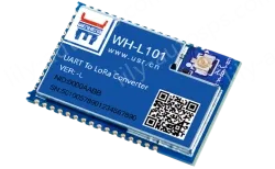LoRa module