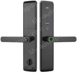 Smart door lock A81