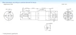 Planetary gear motor