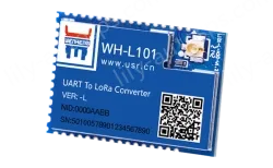 LoRa module