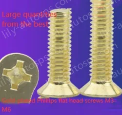 Golden Flat Head Screws M6*110
