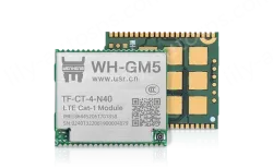 Cat-1 module