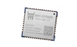 CAT1 MODULE