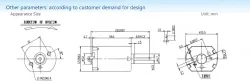 Precious metal-brush motors