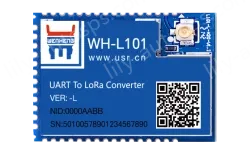 LoRa module